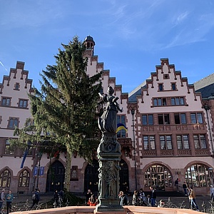 Frankfurts Weihnachtsbaum 2022 ist da!
