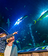 SEA LIFE Speyer