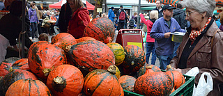 Kreisbauernmarkt Groß-Gerau