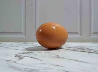 Naturwissenschaftliche Experimente für junge Forscher*innen - Rund ums Hühnerei!