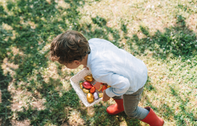 Tiergarten Oppenheim - Ostereiersuche