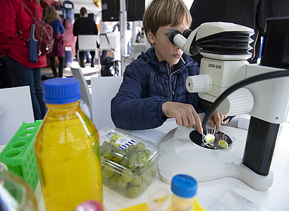 Science Festival 2026