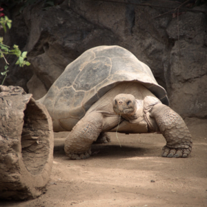 Frühjahrsputz im Zoo Vivarium Darmstadt