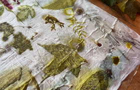 Besucherlabor:Faszinierende Strukturen im Pflanzenreich – Wir drucken mit Pflanzen