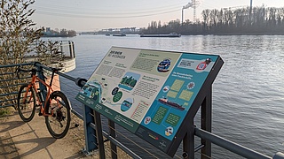 Entdecken, lernen, staunen: Neue Infotafeln am Wiesbadener Ufer