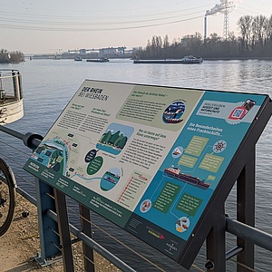 Entdecken, lernen, staunen: Neue Infotafeln am Wiesbadener Ufer