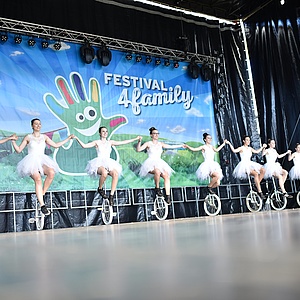 Vereine für das Festival4Family 2018 in Frankfurt gesucht