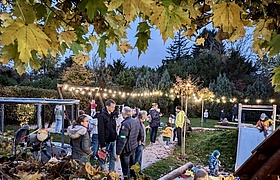 Bad Homburger Lichterfest am Reformationstag Bad Homburger Lichterfest am Reformationstag