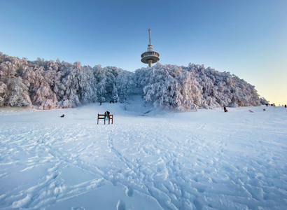 Hoherodskopf / Vogelsberg