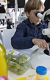 Science Festival Frankfurt 2026