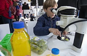 Science Festival Frankfurt 2026