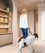 filu - Dein Tierarzt