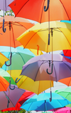Sommerfestival am Karlsplatz