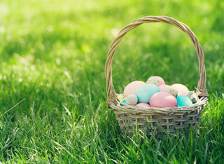 Klostermarkt Hofgut Patershausen