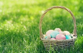 Klostermarkt Hofgut Patershausen