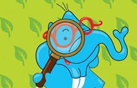 Naturspürnasen MINIS