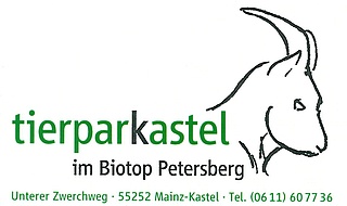 Sommerfest