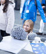 Science Festival Frankfurt 2026