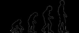 Vom Urmenschen zum Homo Sapiens
