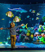 SEA LIFE Speyer