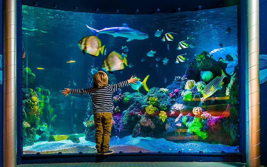 SEA LIFE Speyer RheinMain4Family
