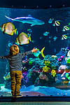 SEA LIFE Speyer