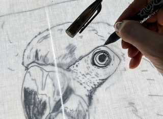 Zoo Vivarium - Animal Sketching