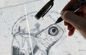 Zoo Vivarium - Animal Sketching