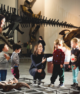 Senckenberg Naturmuseum Frankfurt