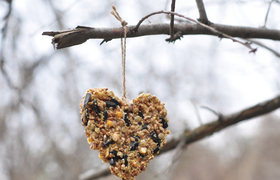 Winterfütterung an der Scheune - Aktion für Kindergartenkids