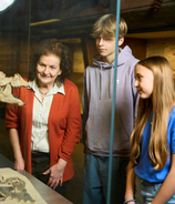 Senckenberg Naturmuseum Frankfurt