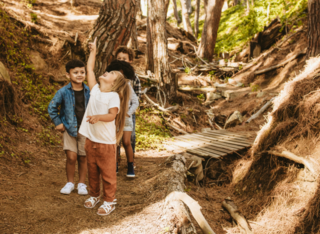 Blätter, Früchte, Samen – Was der Herbstwald so alles zu bieten hat!