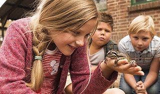 Kino für Kinder - Hilfe, unser Lehrer ist ein Frosch