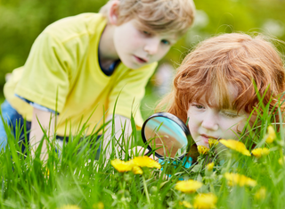 Kinderprogramm Naturfreunde