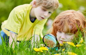 Kinderprogramm Naturfreunde