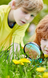 Kinderprogramm Naturfreunde