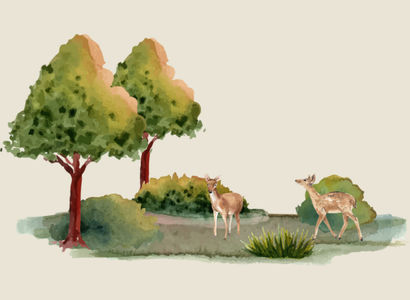 Weitere Wildparks in und um Frankfurt