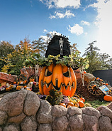 Halloween im Taunus Wunderland
