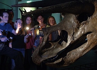 Nachts im Senckenberg Museum - Taschenlampenführung für Kinder, Jugendliche und Erwachsene