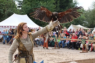 Hayner Burgfest 2019