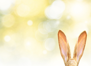 Ostermarkt Heimatmuseum Seulberg