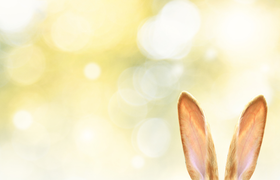 Ostermarkt Heimatmuseum Seulberg