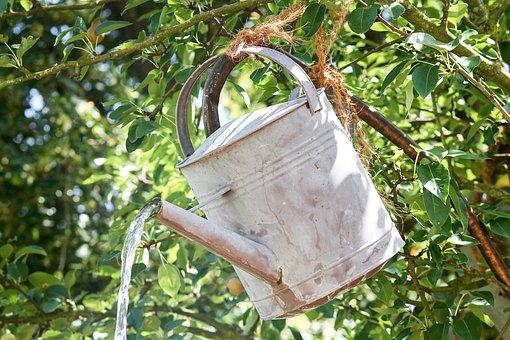 Entdeckt die Veranstaltung Frau Mangolds kleiner Garten in Frankfurt am