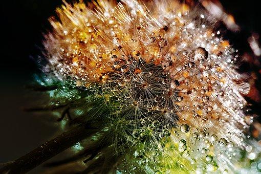 Entdeckt Die Veranstaltung Winterlichter Im Palmengarten In